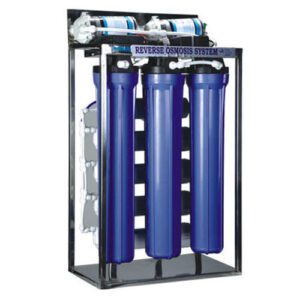 Pestomosis 100 LPH RO SYSTEM